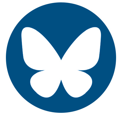 social icon 2024 bluesky