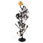 Click here for more information about Wine Cup Tree
